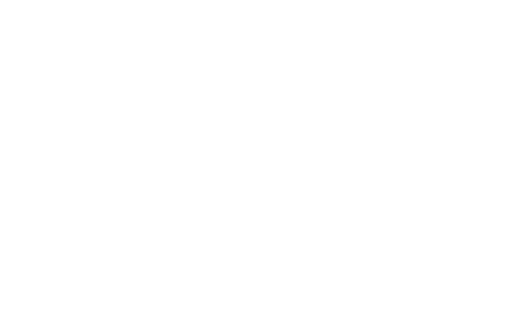 BELLS ECHO INTERIM